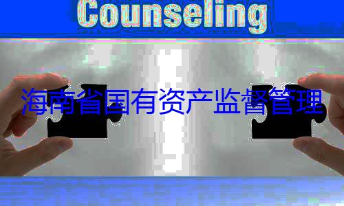 资产监督管有福接受审委副书记王查调查海南省国有理委员会党